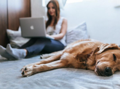 «Ростелеком» входит в топ-3 конвергентных операторов 