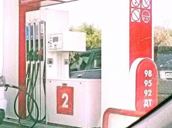 Водителя-собачку выследили волжане на улицах города