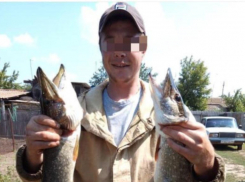 Попал в полицию спустя 4 дня: нашелся без вести пропавший в Волгограде