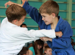 В Волжском определили лучших самбистов