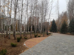 Последняя суббота уходящего года не принесет сюрпризов от погоды