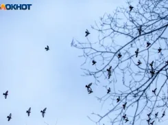 Не стоит принимать важных решений: астрологический прогноз для волжан