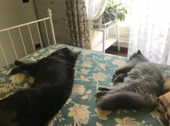 Мишель передает очередной привет