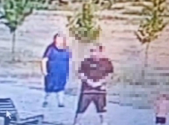 В Волжском в парке у 10-летней девочки украли телефон