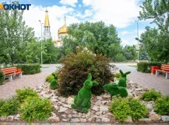 Солнечный понедельник будет в Волжском 