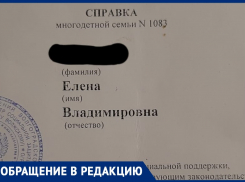 Волжанка рассказала об отношении к многодетным в детской поликлинике № 2