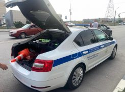 Водитель на Мазде сбил пенсионерку на дороге в Волжском