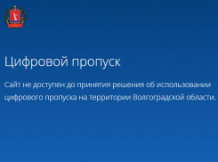 Жителям региона пока не понадобятся цифровые пропуски