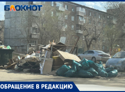 До отвала забитые контейнеры, картонные коробки и мешки с листвой: в Волжском появилась мусорная гора