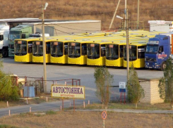 Волжане сделали фото автобусов, которые ждут отправки в другие регионы