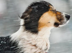 Ветреную погоду обещали волжанам в маленькую пятницу