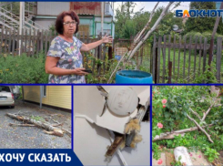 Рухнувшее дерево пробило дом и чуть не зашибло ребенка в Волжском