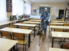 Сыну преподавателя лицея грозит 3 года заключения за ложное сообщение о теракте