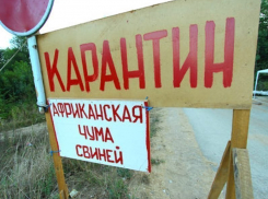 Из-за угрозы АЧС в Волгоградской области появились карантинные посты