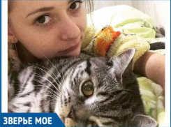 Коша-наркоша заворожил волжан дьявольской мордашкой