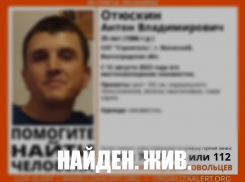 В Волжском нашли пропавшего в СНТ мужчину 