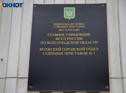 Из Волжского в Сыктывкар: паричок стал объектом судебных прений