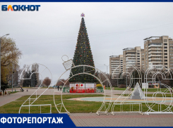 Десятки елок в разных уголках города: Волжский готовится к Новому году!
