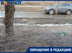 «Ветки спилили за наш счет и бросили гнить под окнами»,- волжанка о ситуации с УК 