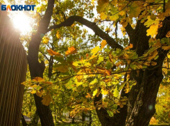 Шторм и серые облака принесет вторник в Волжский: прогноз погоды