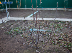 Что сделать на даче после зимы: пошаговая инструкция для волжских дачников