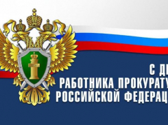 На страже закона: Волжская прокуратура отмечает профессиональный праздник