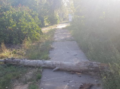 «Ужастики тут только снимать», - волжанин