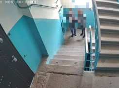 В Волжском женщина подкинула котенка под дверь: видео