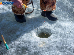 Волжская белорыбица или рыба с реки Белой