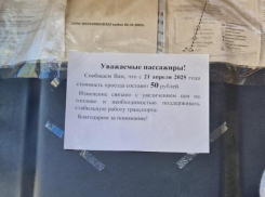 Волжане не верят, что стоимость проезда в общественном транспорте снизят