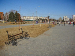 Из парка «Волжский» исчезли все скамейки 