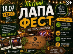 Это нельзя пропустить! «Лапа Фест» под открытым небом, уже в эту субботу