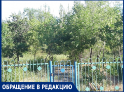 «Устроили какой-то клещесбор», - волжанка