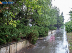 Дождливые выходные ожидают жителей Волжского: прогноз погоды
