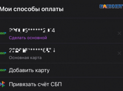 У большинства волжан банковская карта привязана к интернет-магазинам