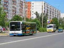 Дачный автобус № 41 будет возить дачников СНТ «Взморье»