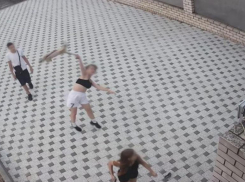 Волжане присоединились к петиции за наказание подростков, которые растерзали кошку