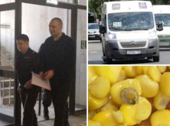 Счастливый Масленников под арестом, червяк в кукурузе и увеличение стоимости проезда до Волгограда: 2 апреля в Волжском