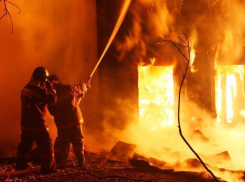 Кирпичная хозпостройка сгорела на территории опытной станции ВИР в Среднеахтубинском районе