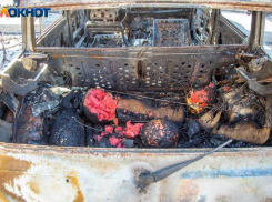 Трупный запах две недели одолевает жителей близ сгоревшего рынка