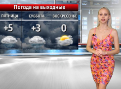 В такую погоду - хоть дачу строить! Почему зима не приходит в Волжский