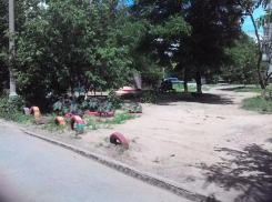 Волжские дворы соревнуются за право быть самым лучшим и благоустроенным