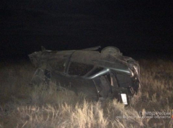 Водитель на «Приоре» сбил лошадь и опрокинулся в Ленинском районе: 2 в больнице