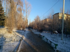 День «Лыжни России» волжанам пообещали без снега
