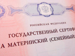 Лишенная родительских прав волжанка пыталась получить материнский капитал