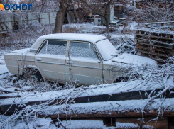 Слабая буря и потепление: какой будет погода в Волжском