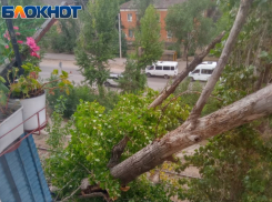 На 1,5 балла из 5 оценили волжане УК «Городское управление» 