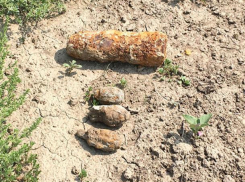 В Волгоградской области обнаружен снаряд рядом с пляжем