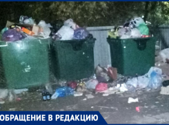 «ЭкоЦентр» забыл о своих обязанностях? Волжские дворы погрязли в свалках