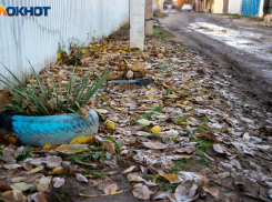 Отсутствие солнца и буря: прогноз погоды в Волжском